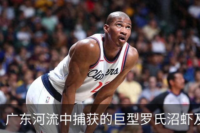 广东河流中捕获的巨型罗氏沼虾及其生态背景分析